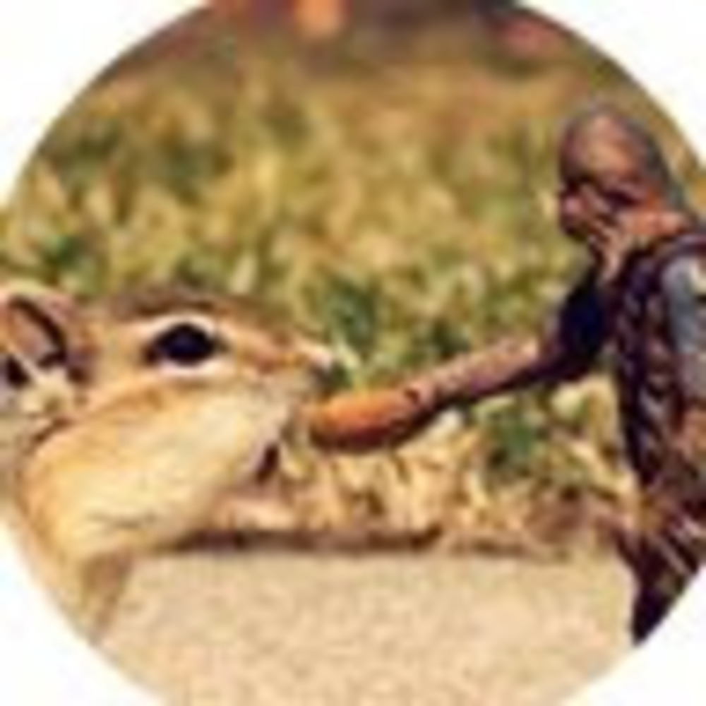 Meet your Posher, Shannon